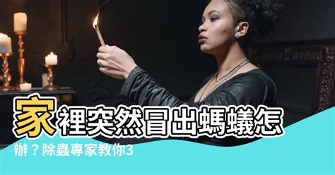 房間突然有螞蟻|家裡突然冒出很多小螞蟻怎麼辦？滅蟲專家教3招徹底。